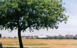���� ���